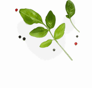 Fresh herbs